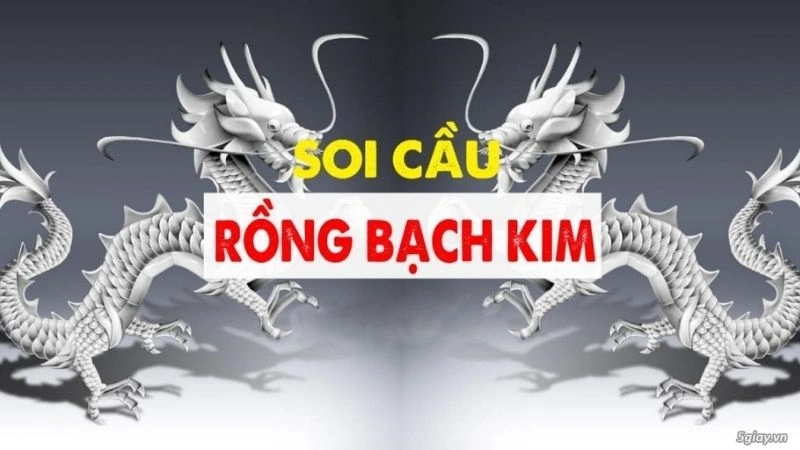 Người chơi cần linh hoạt khi soi cầu rồng bạch kim 666