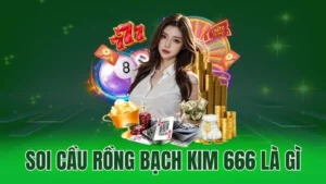 soi cau rong bach kim 666 la gi